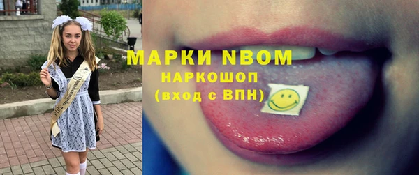 сатива Балахна