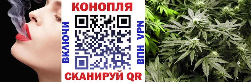 Конопля VHQ  Гвардейск 