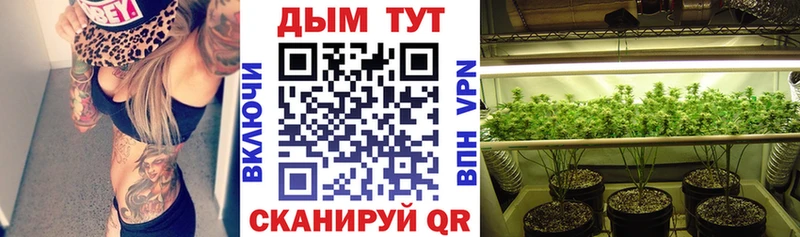 Конопля Bruce Banner Гвардейск